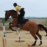 Sisman-spa Donji Zemunik