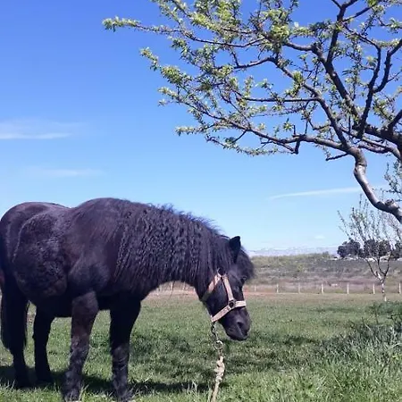 Sisman-spa Donji Zemunik