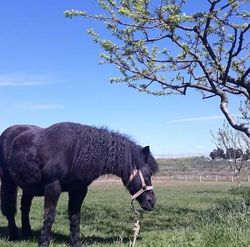 Sisman-spa Donji Zemunik